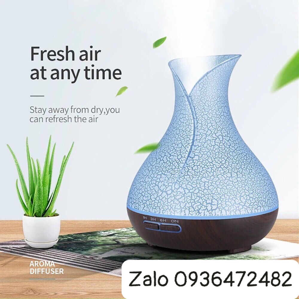 Máy xông tinh dầu