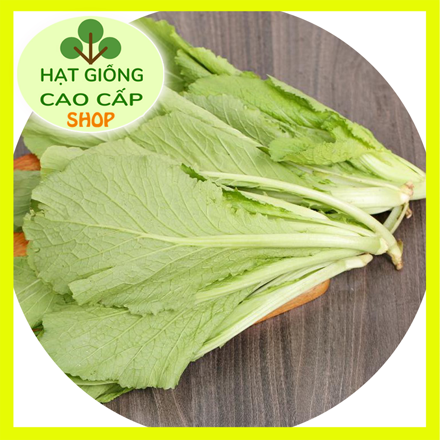Hạt giống cải bẹ xanh mỡ cao sản gói 20gr