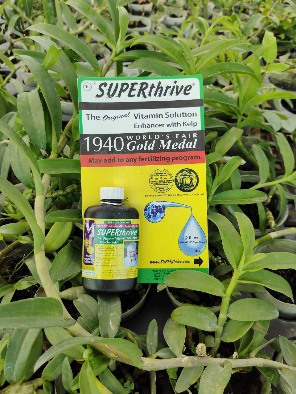 Phân bón Superthrive