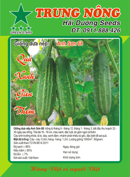 Gói 10 gram hạt giống dưa chuột nếp Anh Sơn 68 cây rất sai quả, quả thơm mùi nếp