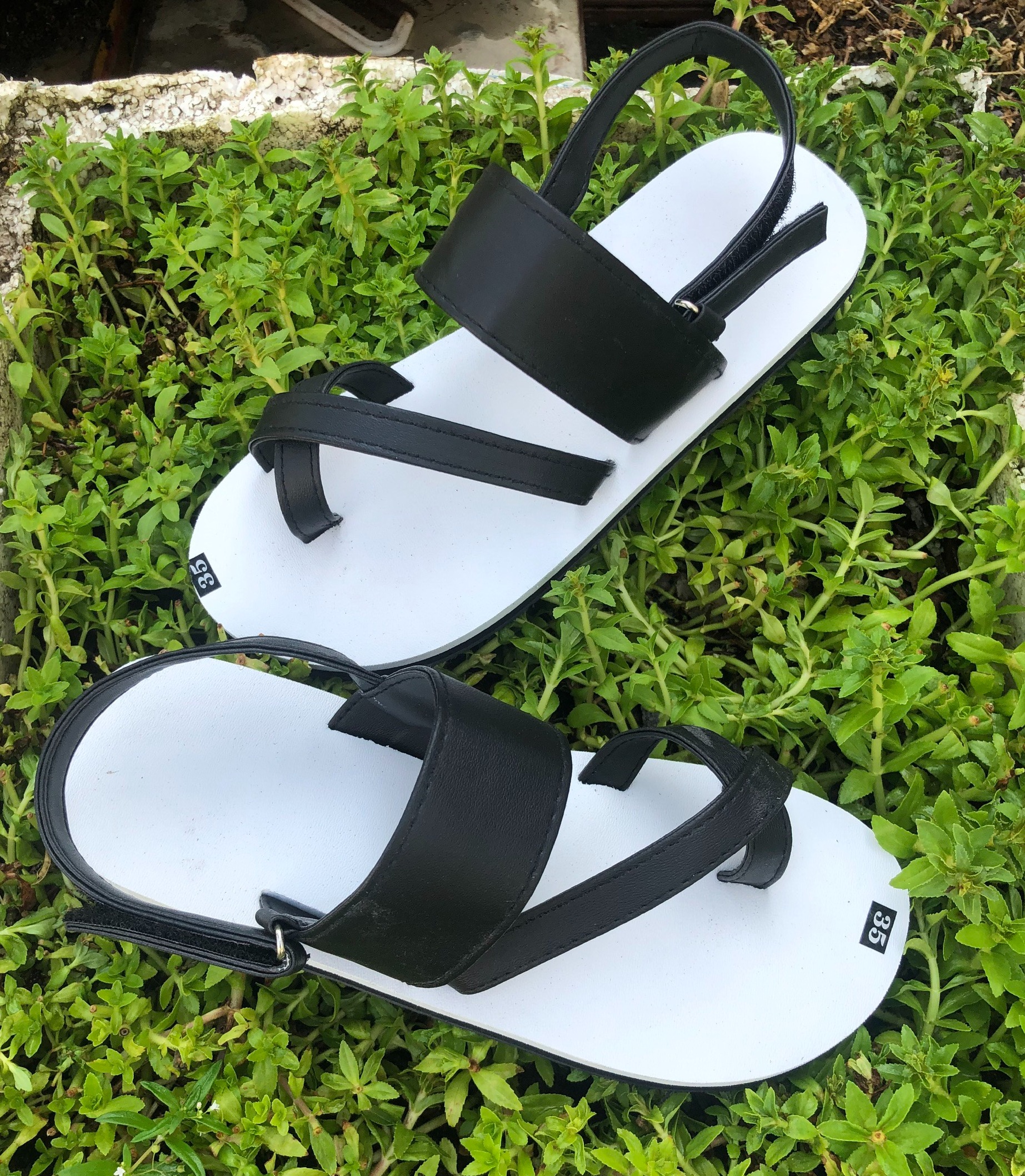 Sandal chíp chíp
