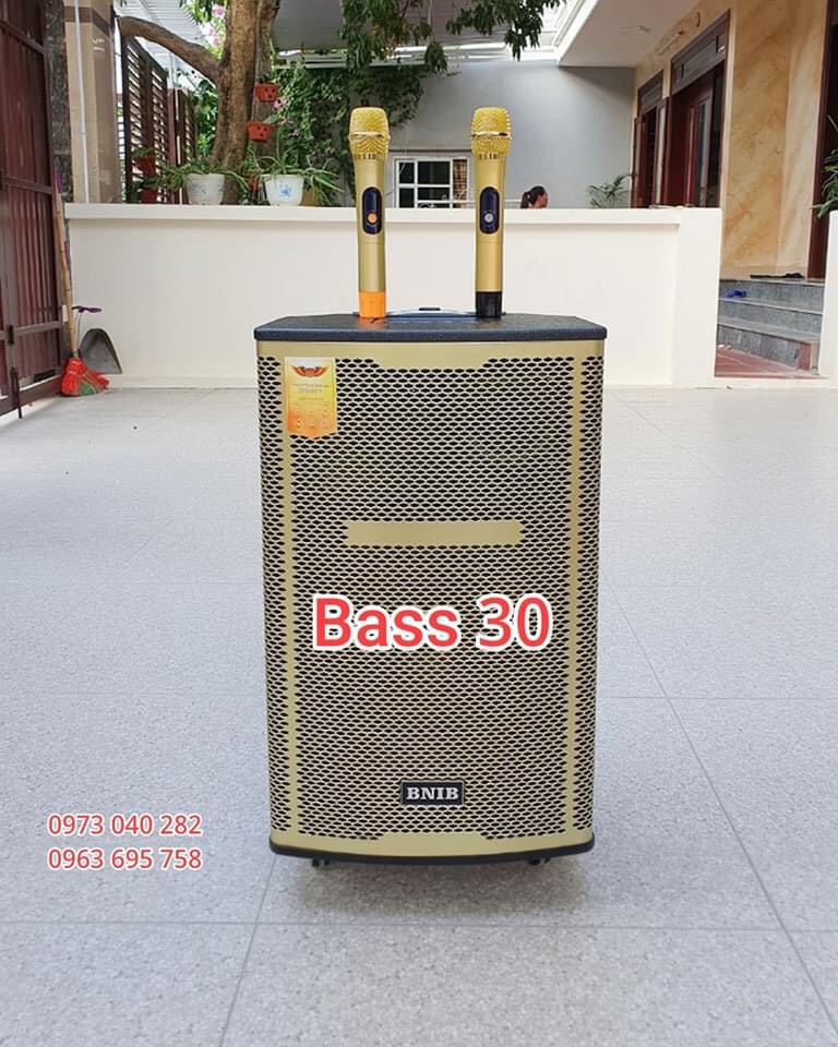 Loa di động karaoke hát cực hay. Loa kéo karaoke hay giá rẻ  kèm 2 micro UHF không dây hát hay, chông hú . Loa công suất lớn giá rẻ. BH 1 năm