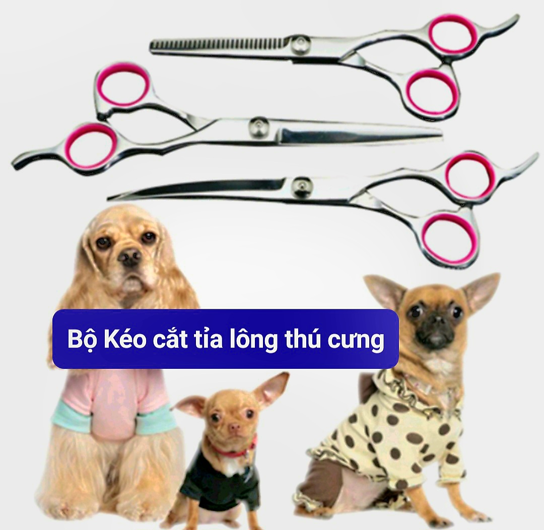 Bộ kéo cắt tỉa lông cho chó mèo đẹp như đi spa - kéo cắt, kéo tỉa,kéo cong hàng tốt
