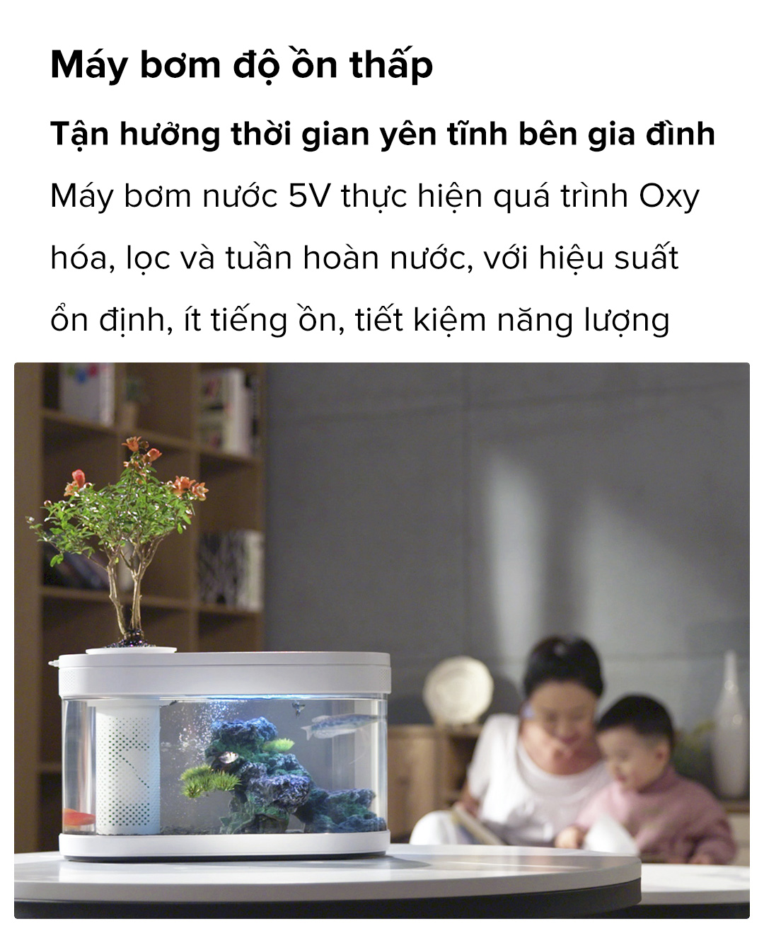Bể cá thủy sinh mini Xiaomi HF-JHYG001