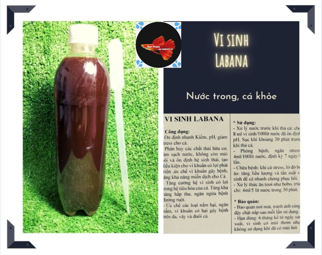[HCM]Vi sinh LABANA làm trong nước chai 500ml