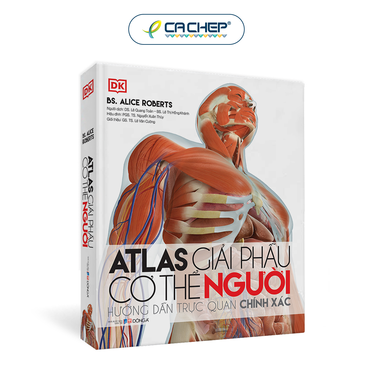 Cá chép - atlas giải phẫu cơ thể người