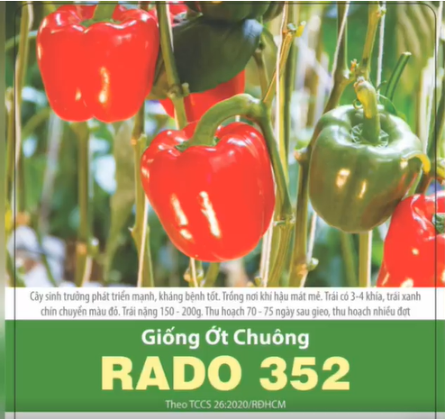 Hạt Giống Ớt Chuông Sai Trái (0.1gr)