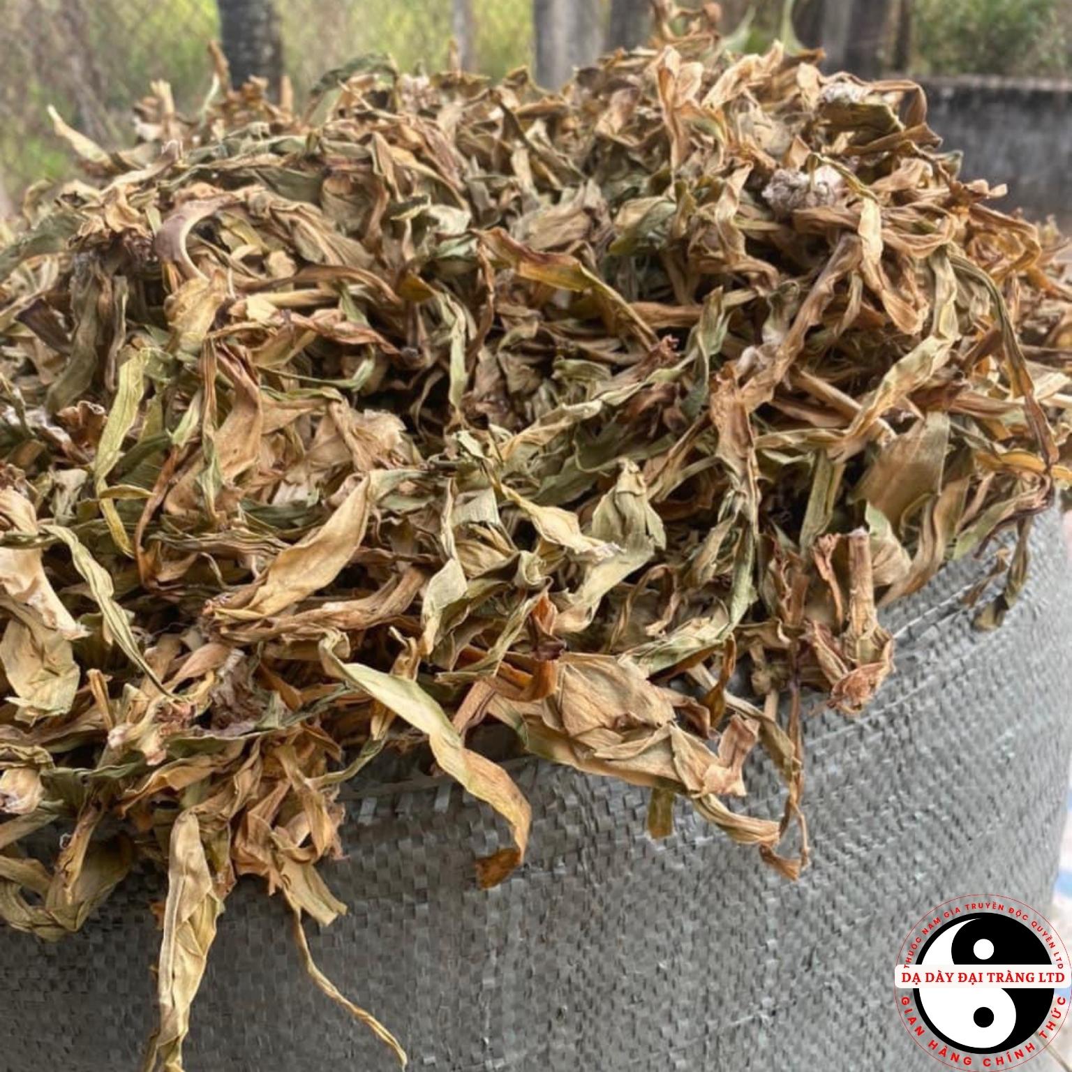 Lá trinh nữ hoàng cung khô loại 1 sạch, mới, thơm từ trinh nữ hoàng cung tươi kết hợp cao xạ đen