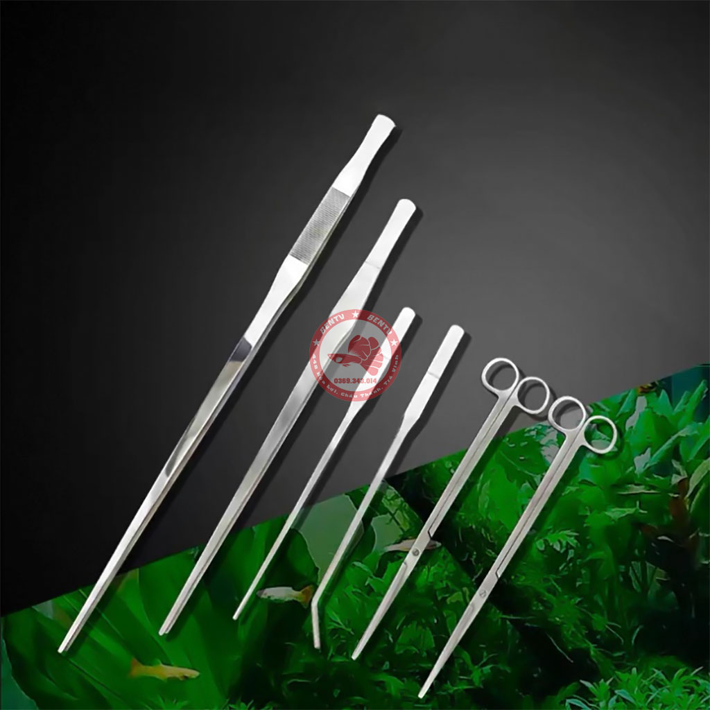 Nhíp và kéo inox trồng cây cho hồ thủy sinh