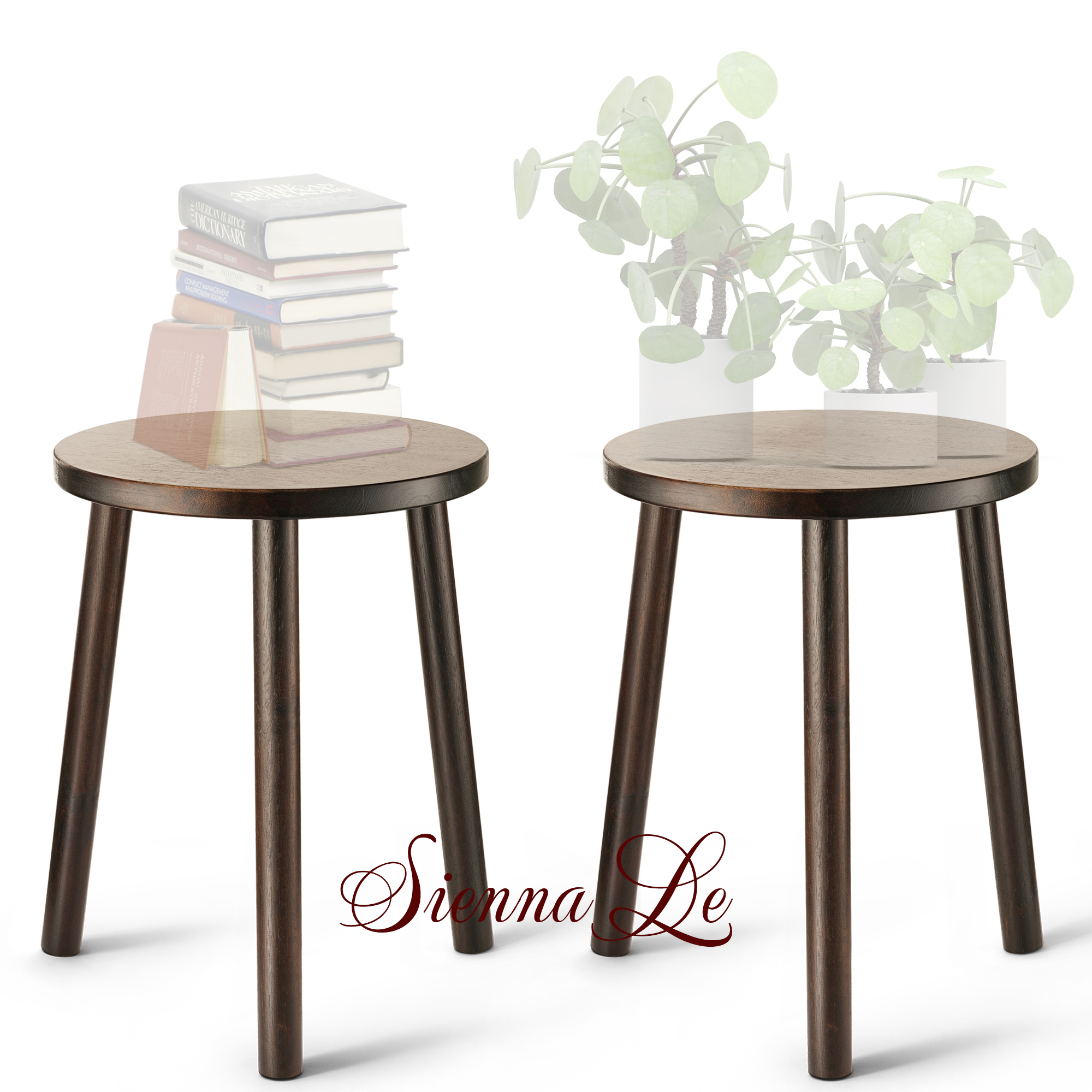 [Sienna Le] (Bộ 2) Đôn Gỗ Kệ Giá Tròn Nhỏ Đỡ Chậu Hoa - Chân Rời Tháo Lắp Dễ Dàng, 40x30cm, Bàn Trà Bàn Coffee