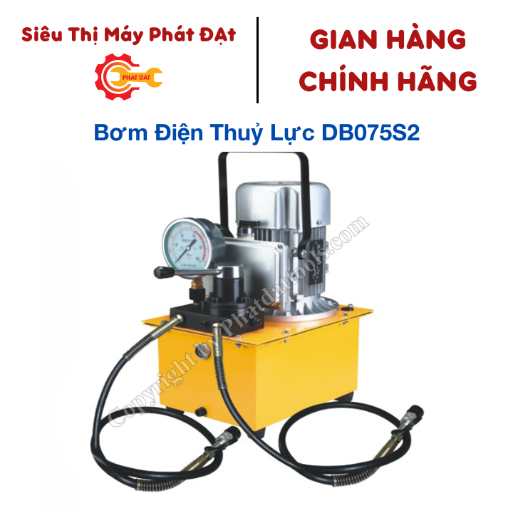 Bơm điện thủy lực DB075S2 - 2 vòi 750w 7 lít - Bơm thủy lực F3 2 đường dầu van cơ