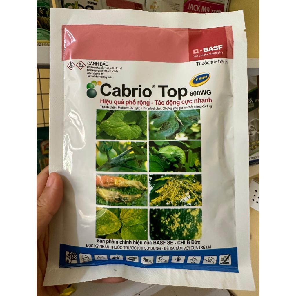 Cabrio top 600wg/100gr