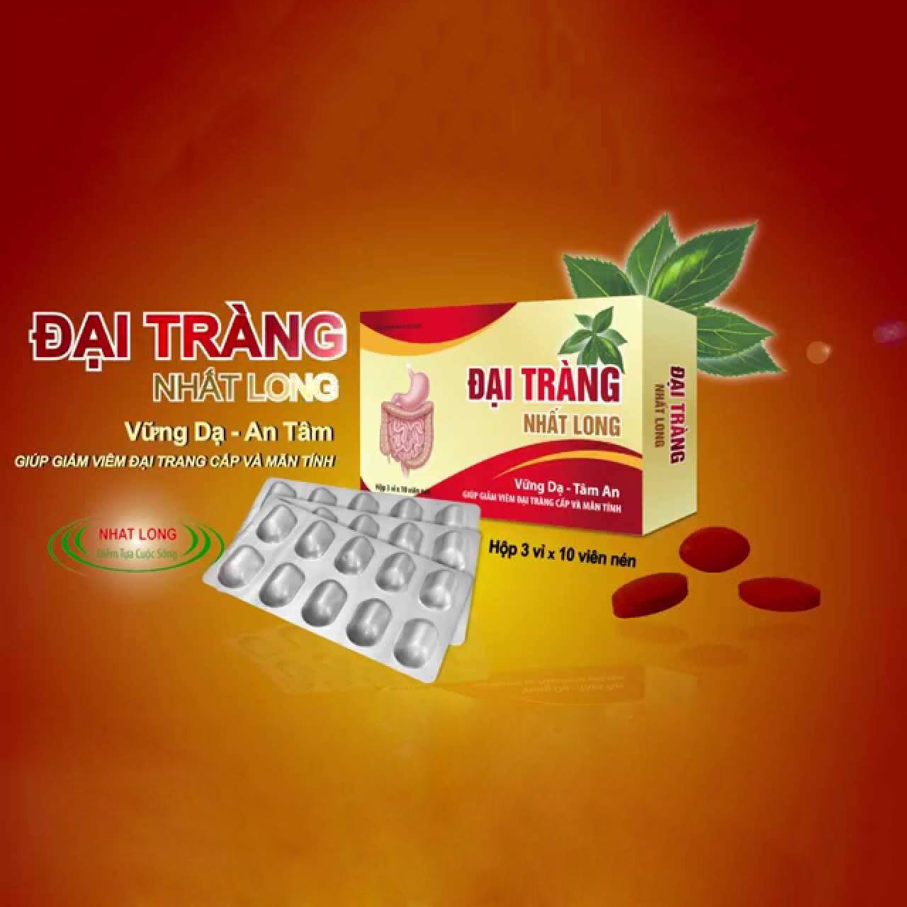 Đại Tràng Nhất Long vững dạ - tâm an hộp 30 viên