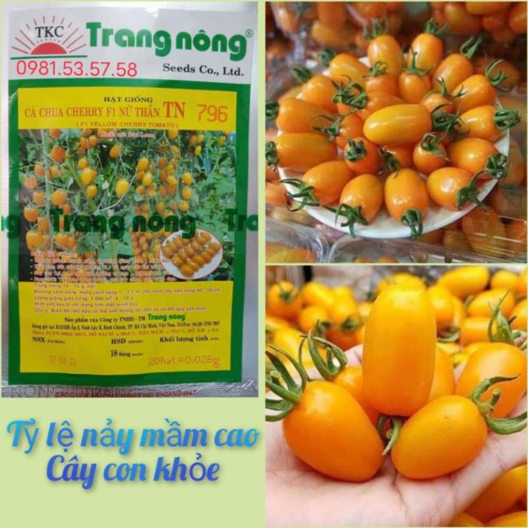 HẠT GIỐNG CÀ CHUA TRÁI CÂY NOVA