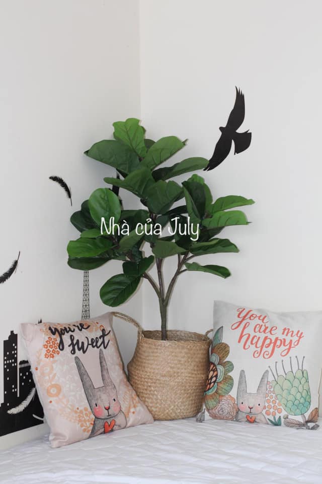 🌿 CÂY BÀNG SINGAPORE GIẢ 🌿 ( không kèm giỏ cối )