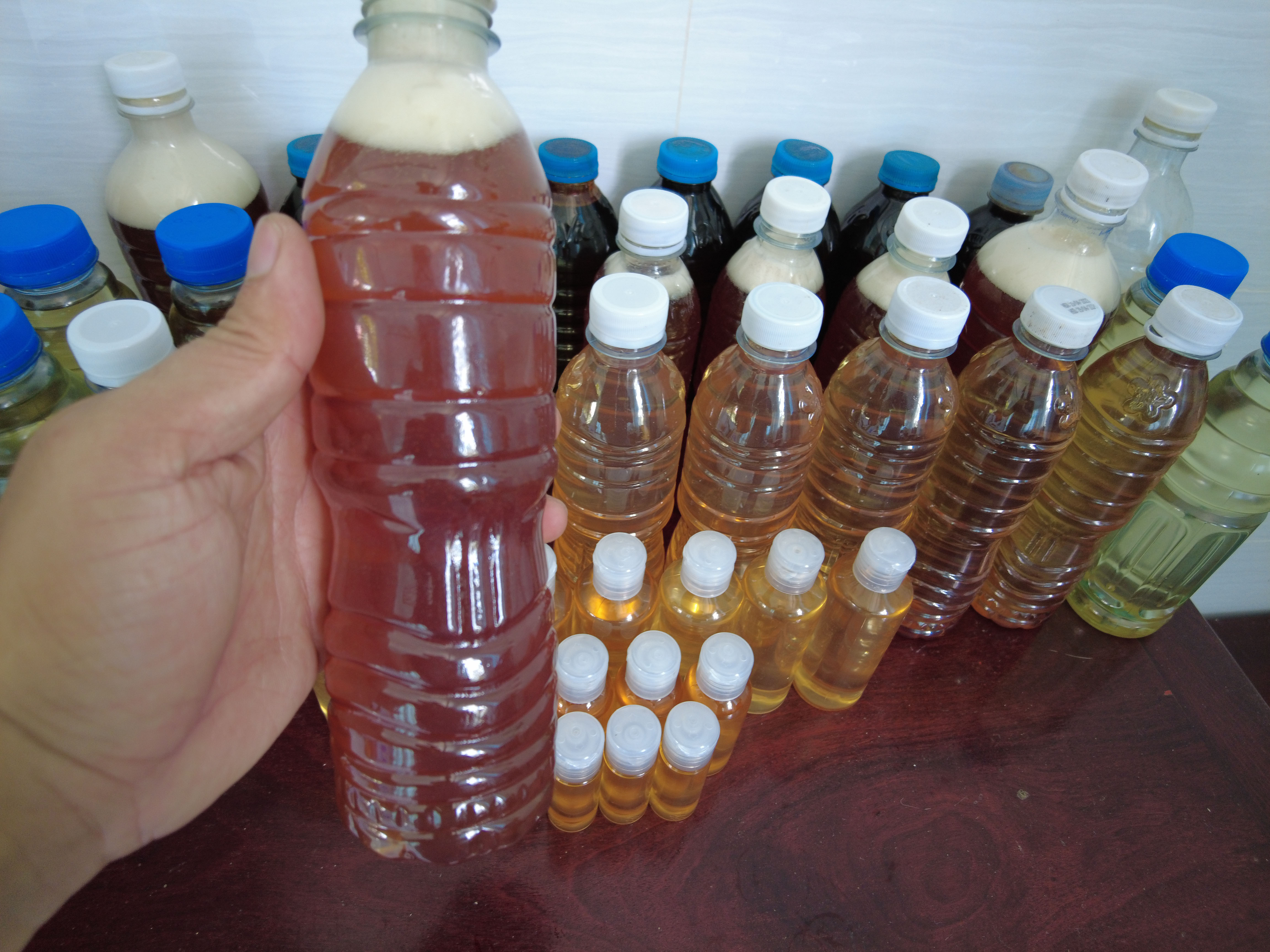 Mật ong nguyên chất hoa nhãn Bến Tre - Ong nhà nuôi - Chai 500ml