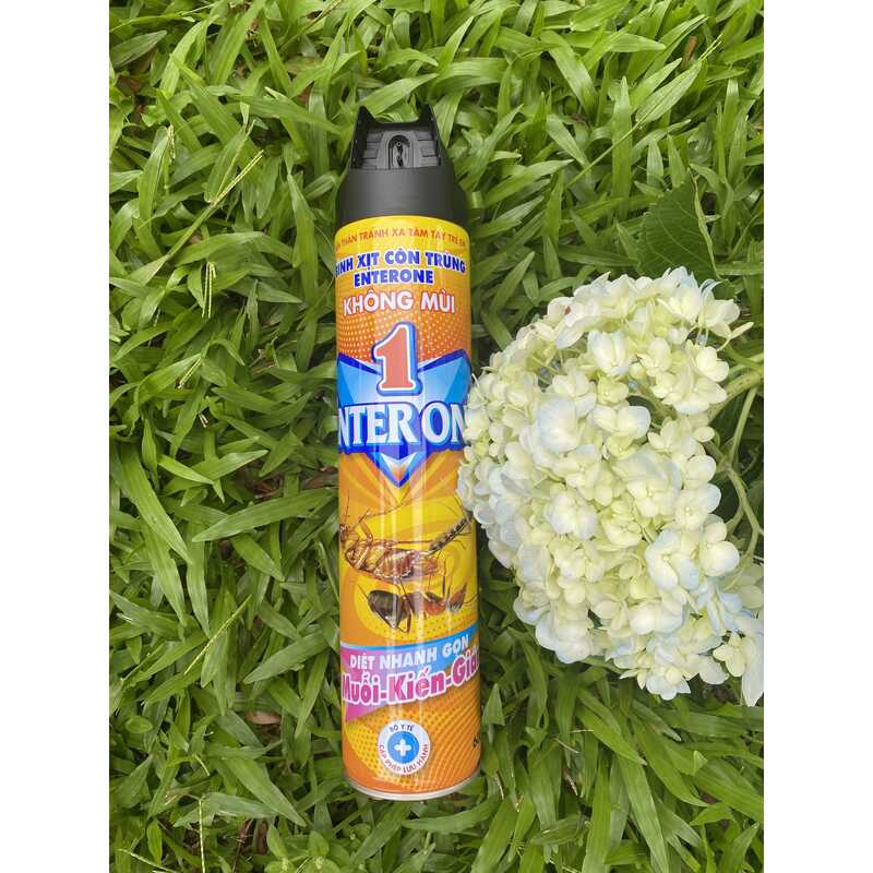 Bình xịt côn trùng diệt kiến, gián, muỗi Enter One 600ml