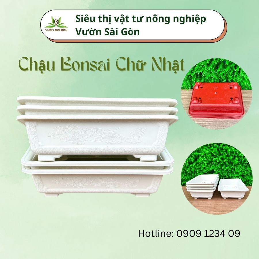 (Combo 3 chậu) Chậu bonsai chữ nhật Mini (Dài 17 cm x Rộng 12 cm x Cao 5cm)-(Vườn Sài Gòn - Vuon Sai Gon)