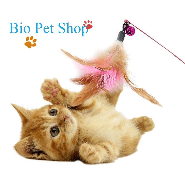 ĐỒ CHƠI CHO MÈO-CẦN CÂU MÈO