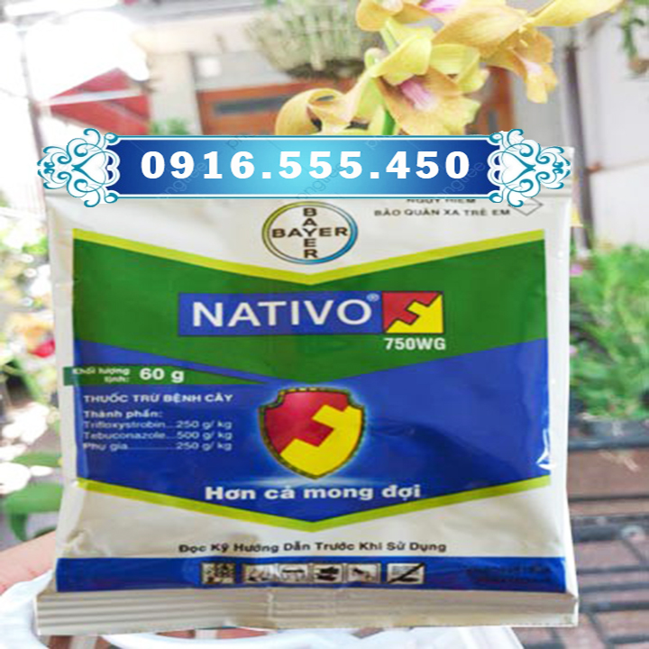 Nativo 750WG 60g phòng trừ nấm bệnh thán thư, sương mai, vàng lá, rỉ sắt