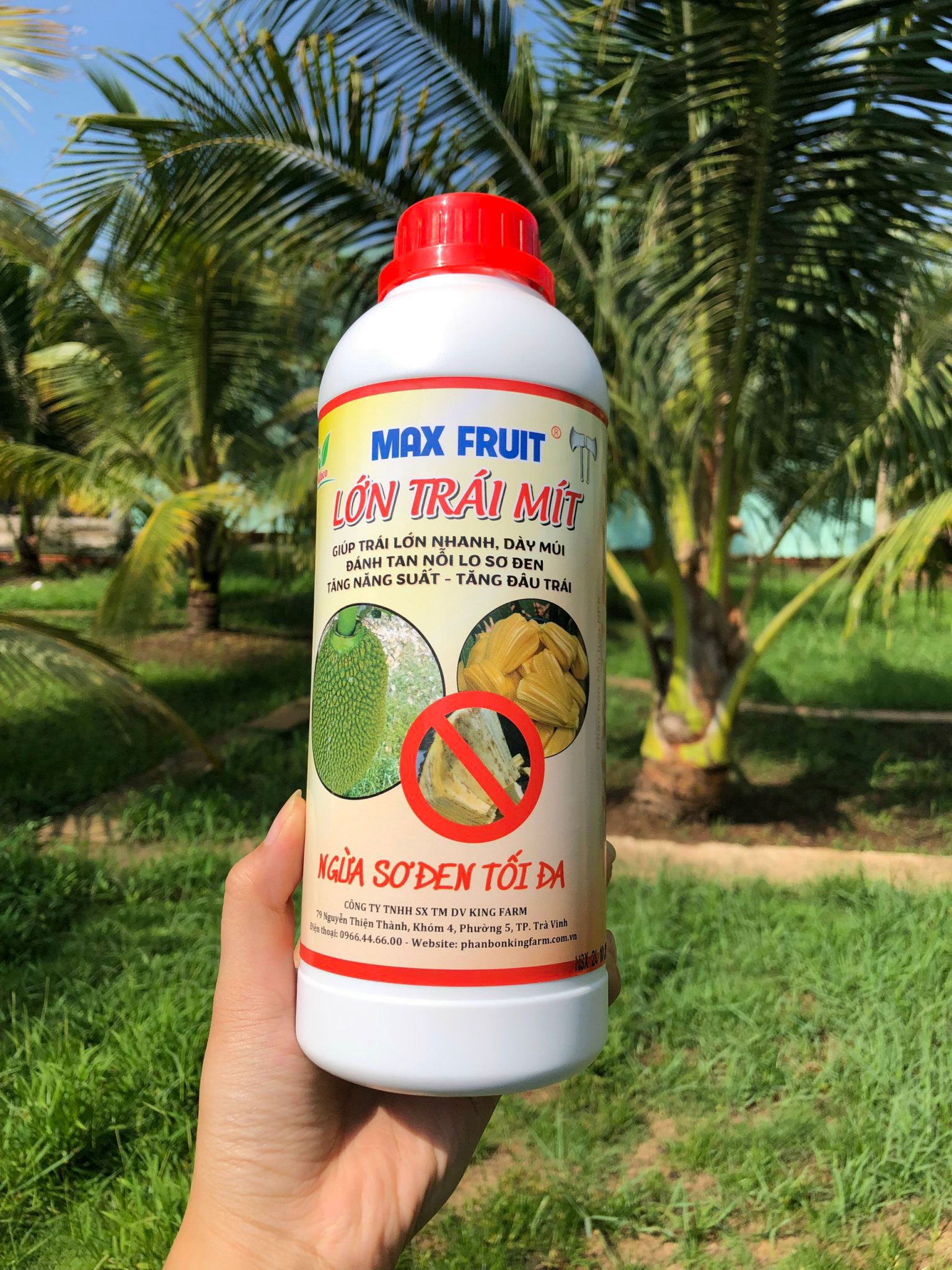 Phân bón lớn trái mít chai 1 lít - hạn chế sơ đen tối đa, trái lớn nhanh, xanh da, tròn đều, chắc ruột, ngọt vị