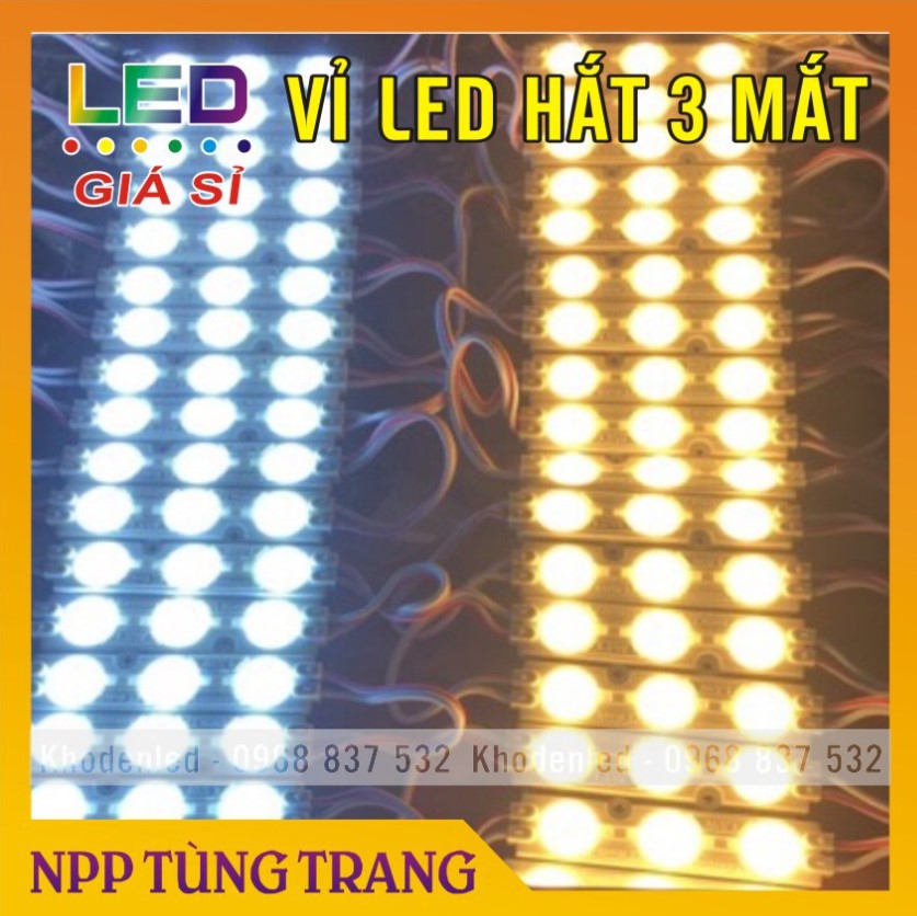 Led hắt 3 bóng mắt lồi điện 12V loại siêu sáng