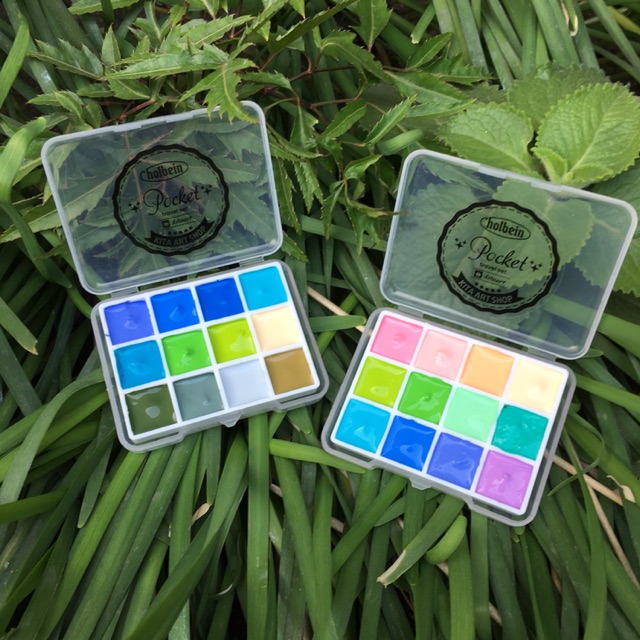 Set màu tết 2019