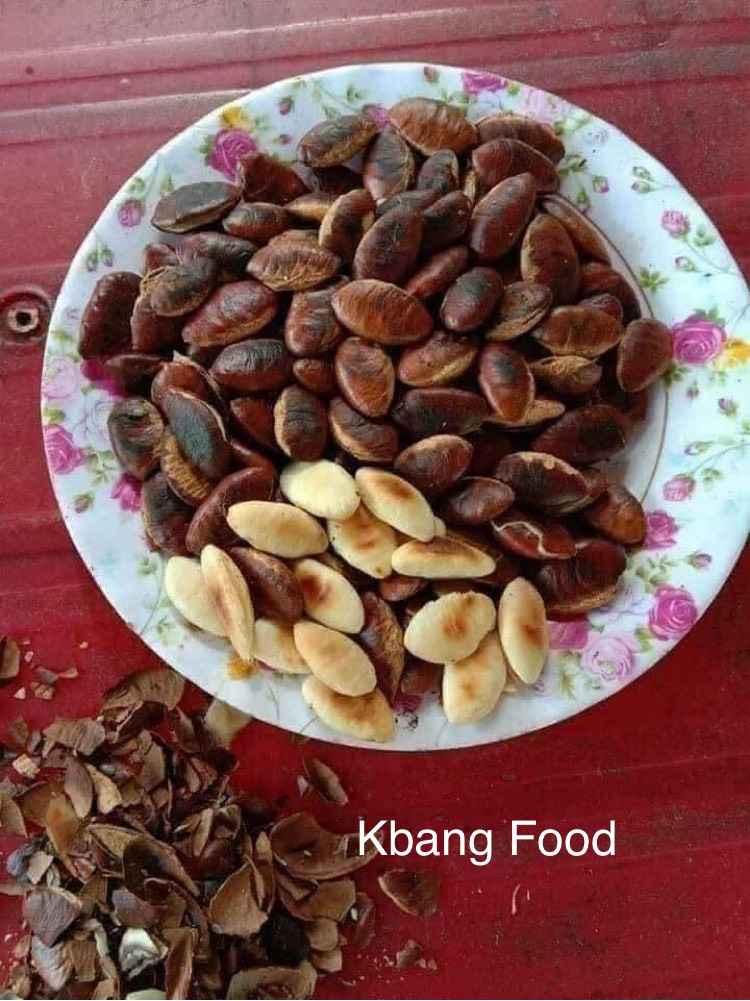 Hạt konia tươi ngon/chuẩn vị núi rừng/túi chân không 500gr-1000gr