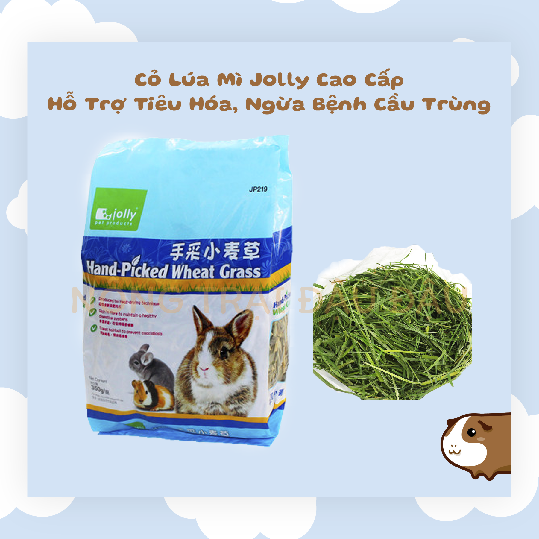 Thức ăn cho thỏ, bọ ú 🐹 cỏ lúa mì jolly cao cấp hỗ trợ tiêu hóa và bài tiết, ngừa bệnh cầu trùng 350g - jp219