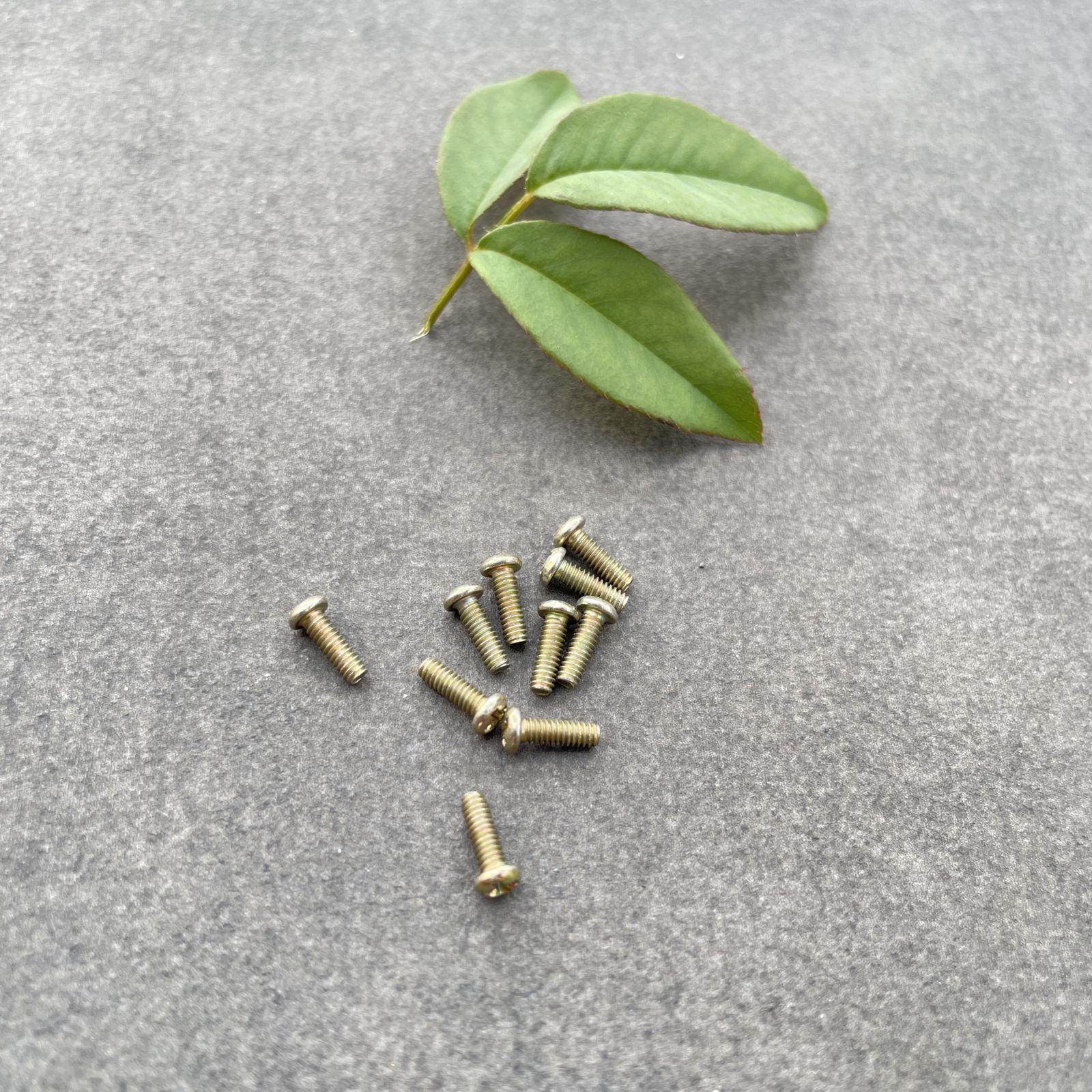 Bộ 10 cái ốc vít m2 2mm dài 6mm