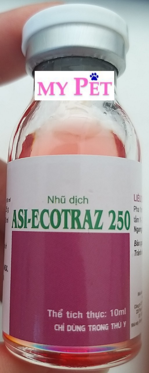 Ecotraz - ghẻ, ve, bọ chét trên chó