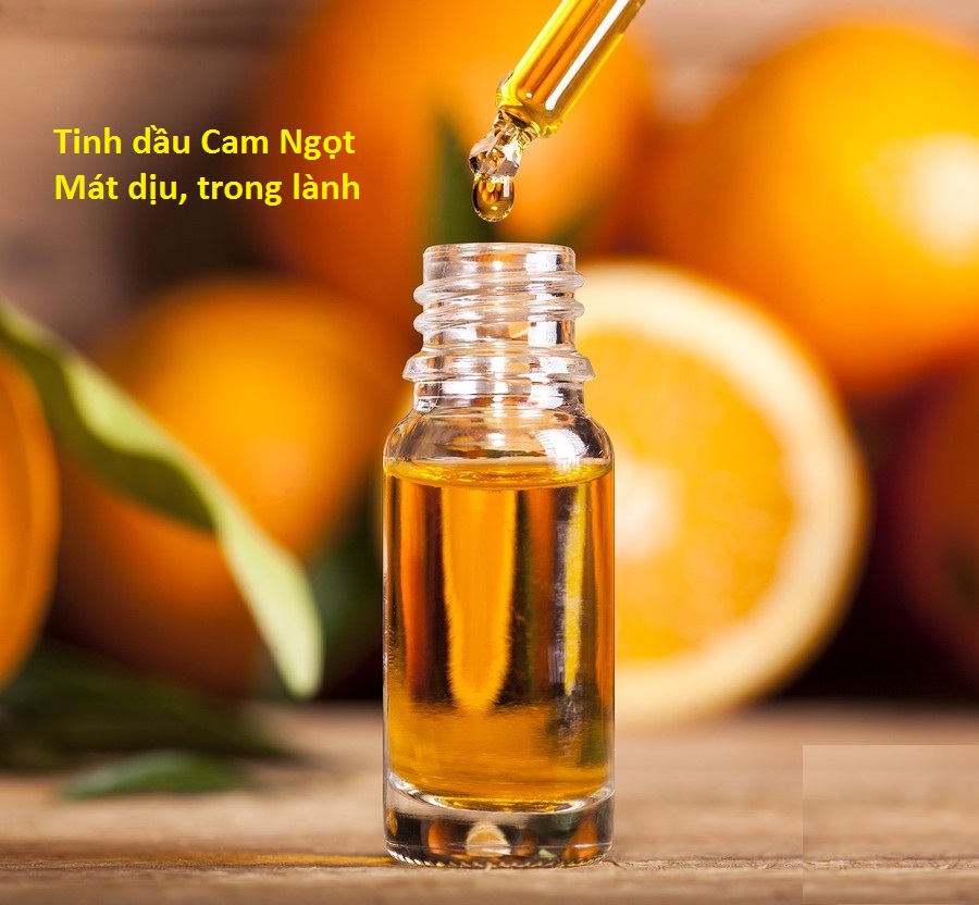 Tinh dầu thơm xông phòng hương Cam Ngọt nguyên chất 10ml