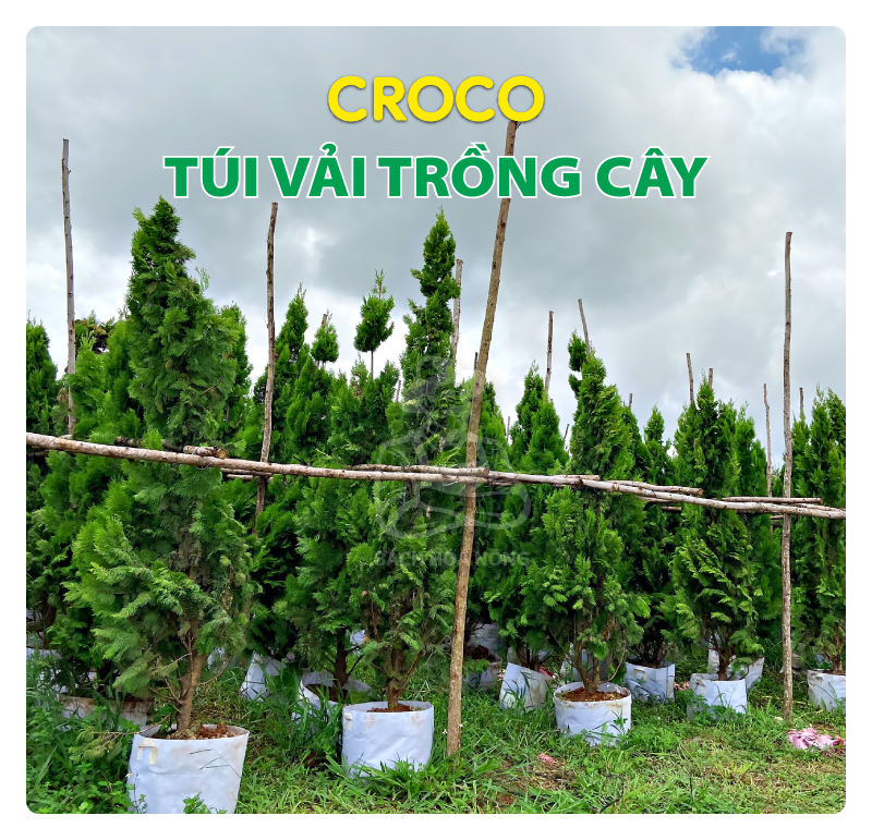 [HCM]TÚI VẢI TRỒNG CÂY CROCO ( SET10 TÚI ) 50cm x 40cm - "GIÁ XƯỞNG"
