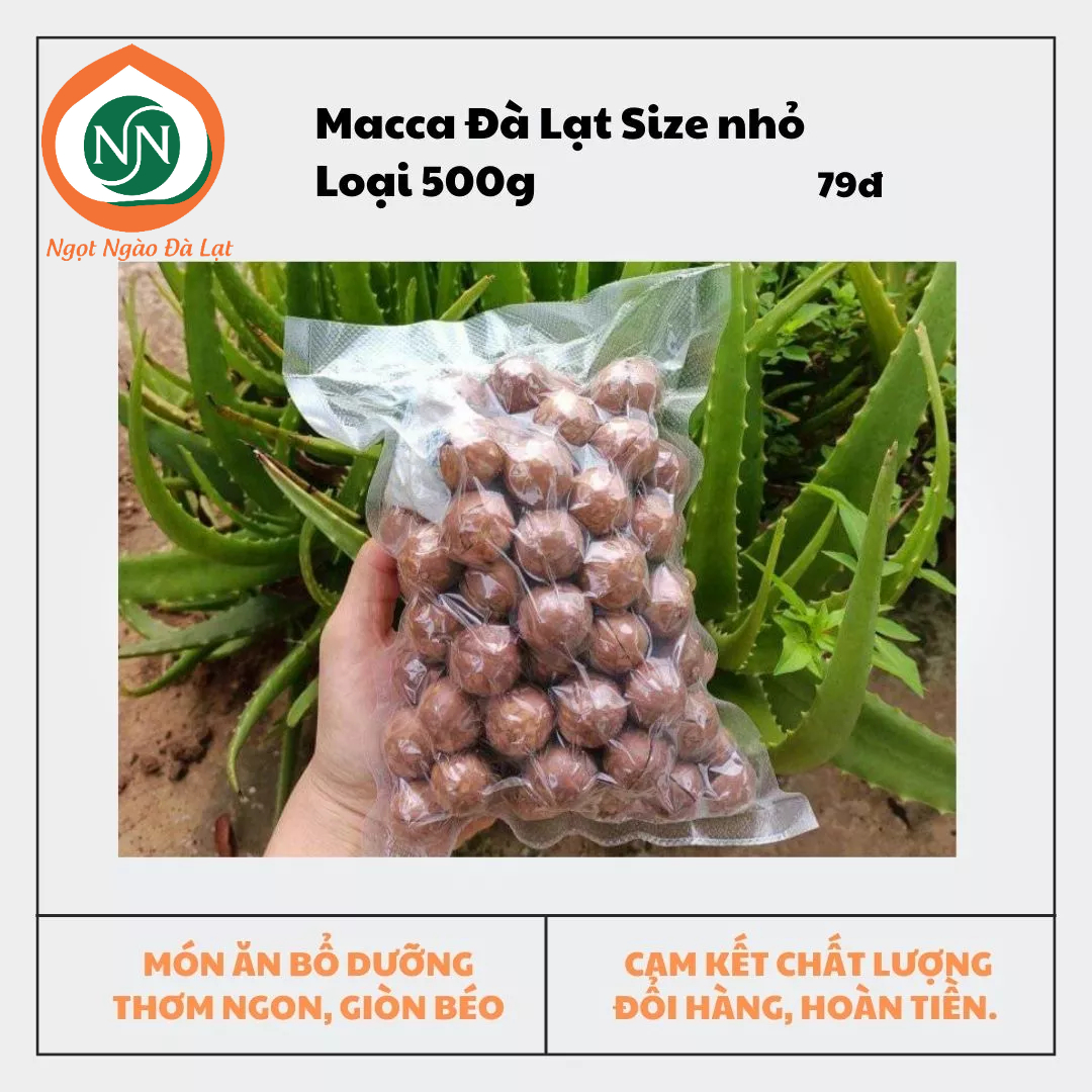 Macca đà lạt size trung |ngọt ngào đà lạt store| túi 500g macca loại 1 thơm, ngon, giòn, béo