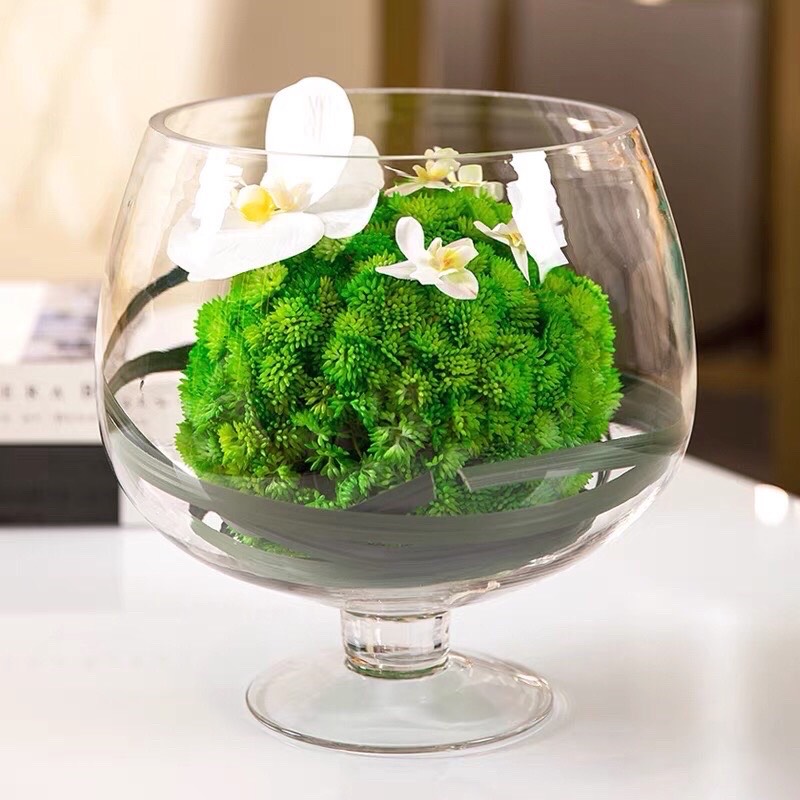 LY CHÂN/CHẬU/BỂ THỦY TINH TRỒNG CÂY THỦY SINH NUÔI CÁ TRANG TRÍ