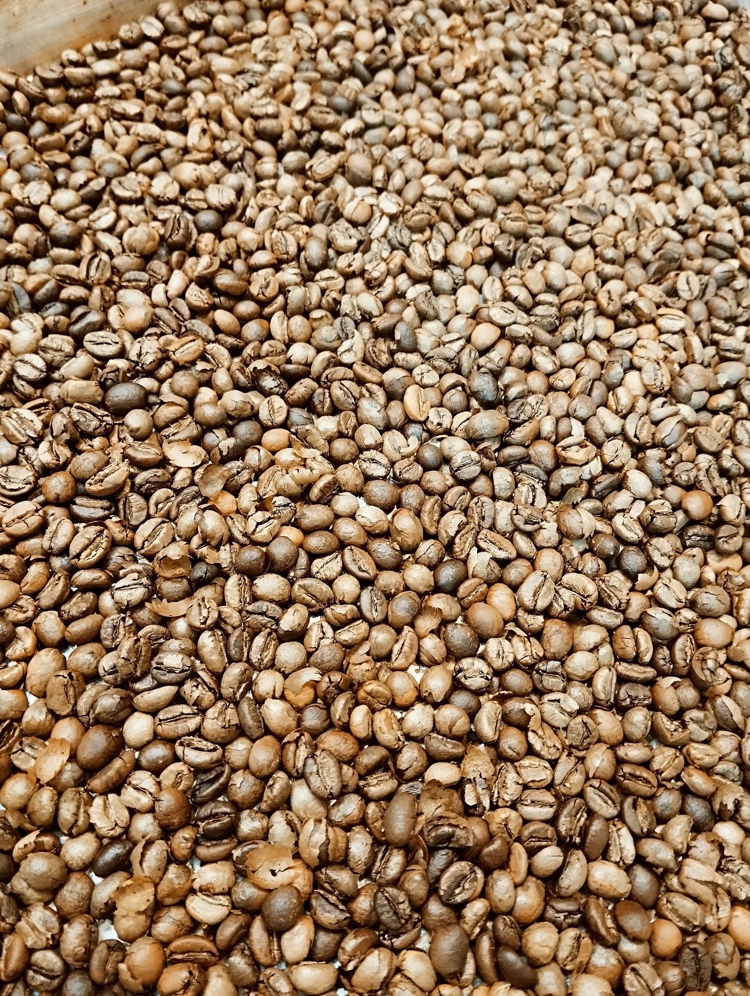 stereomate - Cafe rang thủ công - 70% Robusta + 30% Arabica - Nguyên hạt - 200g