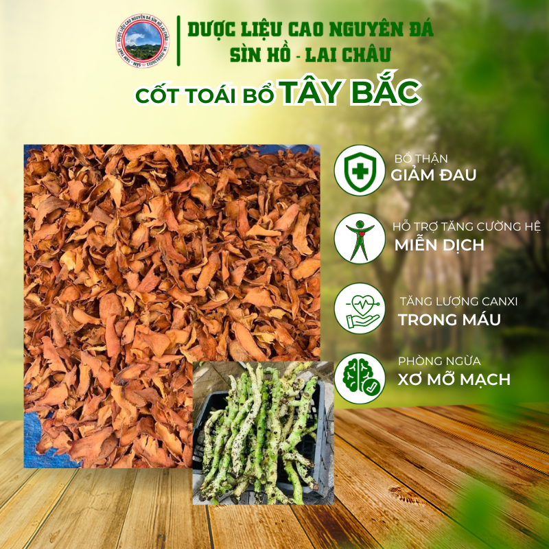 Cốt toái bổ tắc kè đá tươi và khô ngâm rựu sắc nước hỗ trợ đau nhức xg khớp, đau mỏi vai gáy, tê bì chân tay