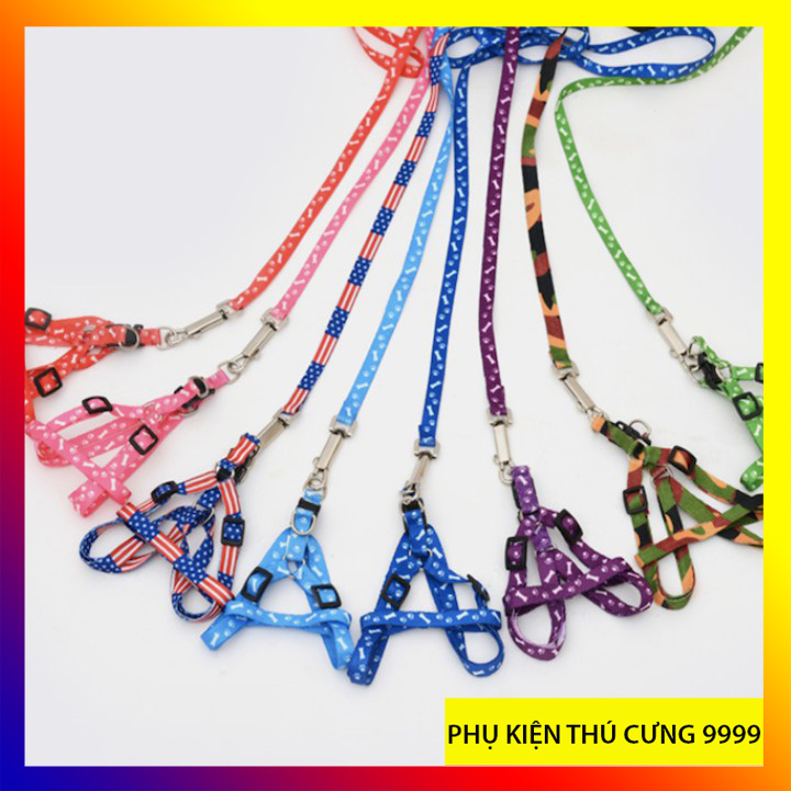 Dây dắt cho mèo tiện lợi- dắt đi dạo