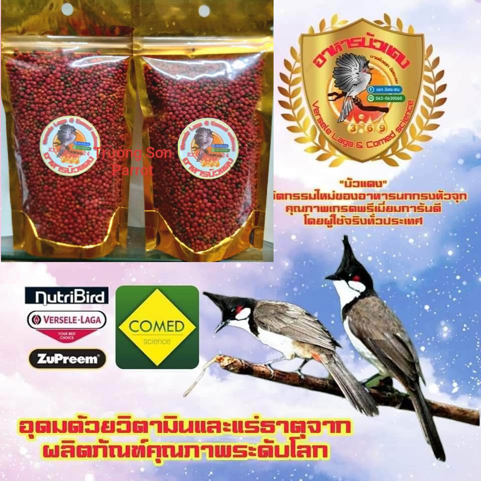 Cám chào mào đấu kích hót của Thái Lan gói 100g