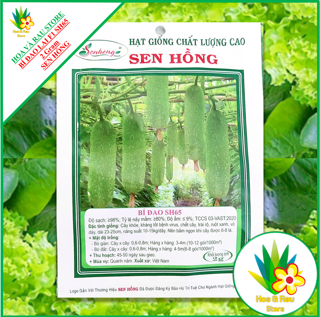 Hạt giống bí đao lai f1 sh65 - gói 2g - sen hồng - bí đao chanh - hoa và rau store