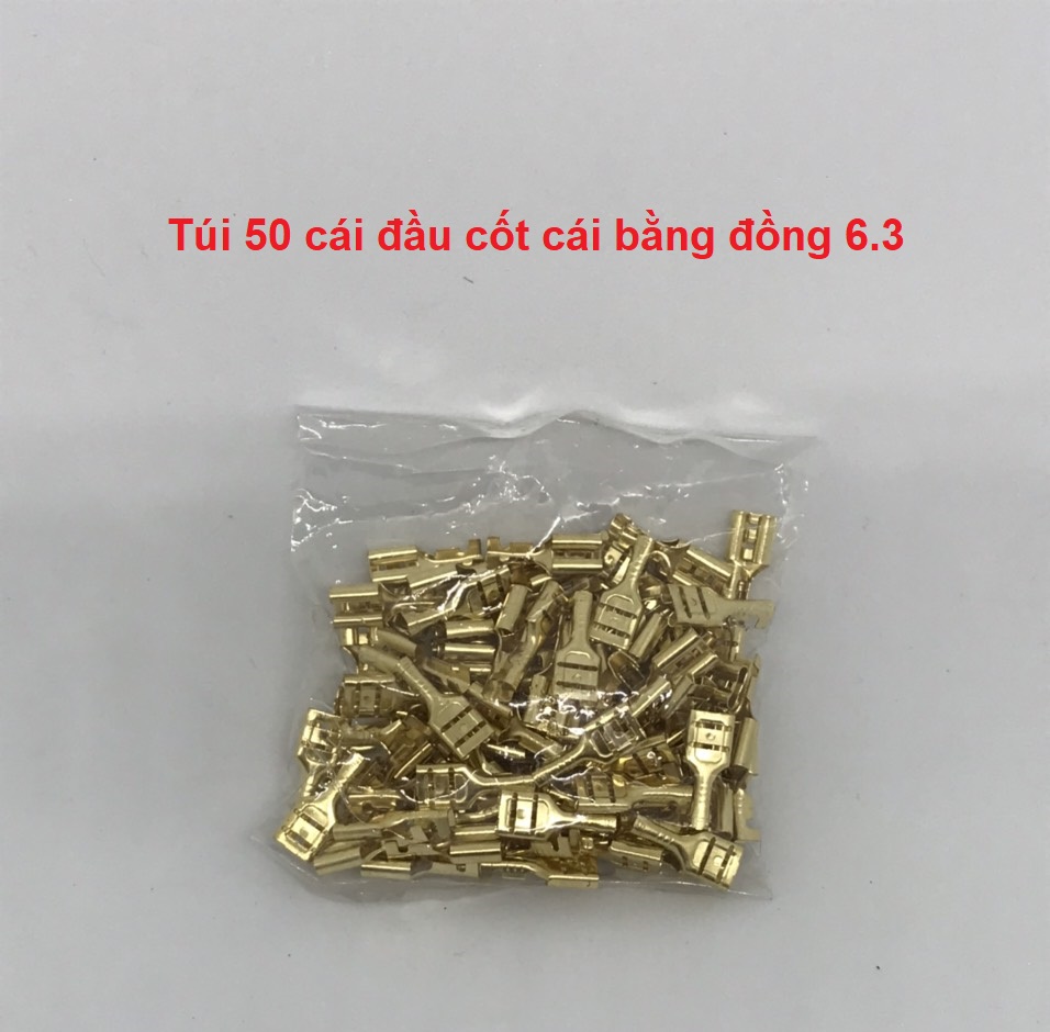 Túi 50 cốt cắm đồng 6.3mm