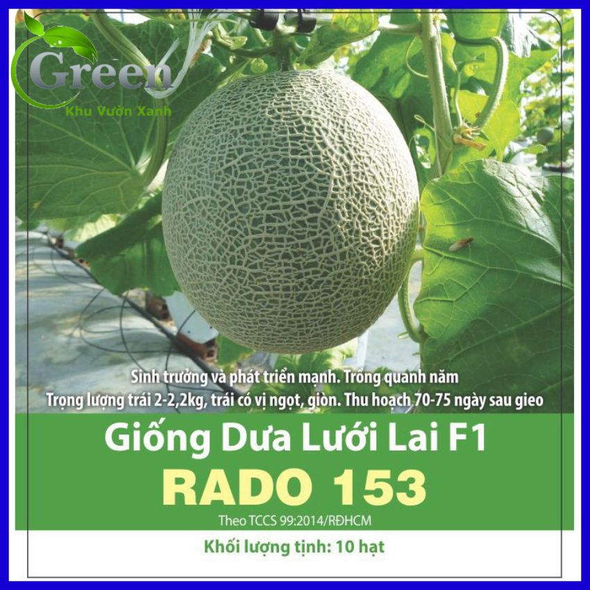 Hạt Giống Dưa Lưới Lai F1
