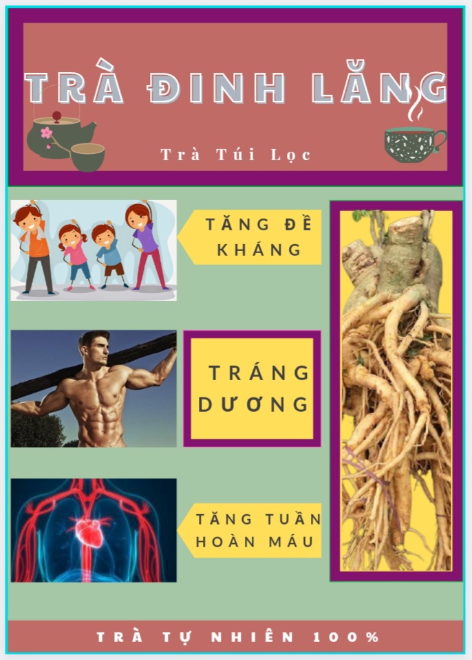 Trà Đinh Lăng, TRÁNG DƯƠNG, Tăng Đề kháng, Tăng Tuần Hoàn Máu - 40 Túi Lọc, Trà Đông Y Việt