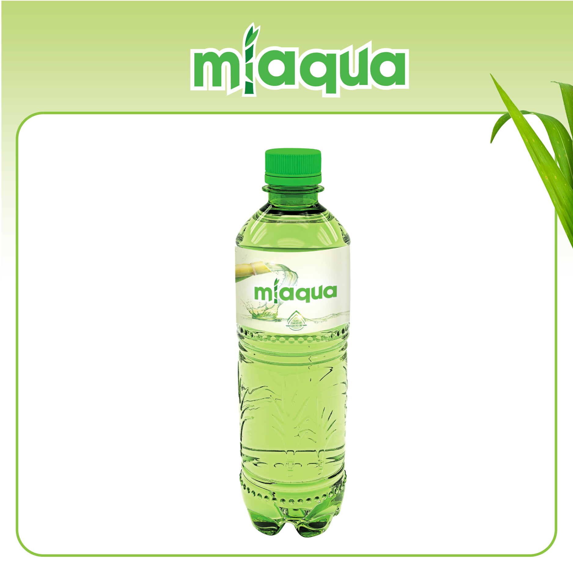 thùng 24 chai nước miaqua-nước tinh khiết tinh lọc từ cây mía 500ml chai 2