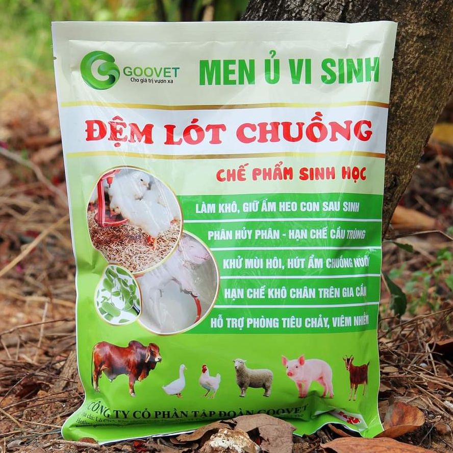 MEN Ủ VI SINH, MEN RẮC KHỬ MÙI, MEN RẮC CHUỒNG, ĐỆM LÓT CHUỒNG SINH HỌC GOOVET giữ chuồng nuôi khô ráo, giảm tối đa mùi phân, giảm lây lan dịch bệnh dùng trong chăn nuôi gói 1kg