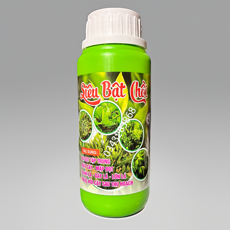 Phân bón siêu bật chồi đâm tược vọt đọt mập thân xanh lá