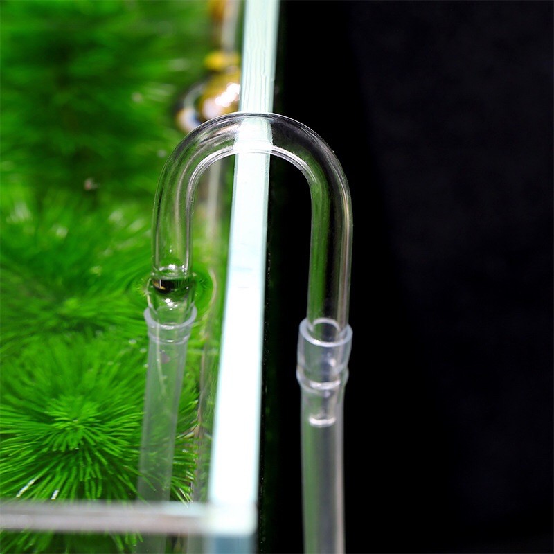 Co chữ u thuỷ tinh chống gập dây oxy dây co2