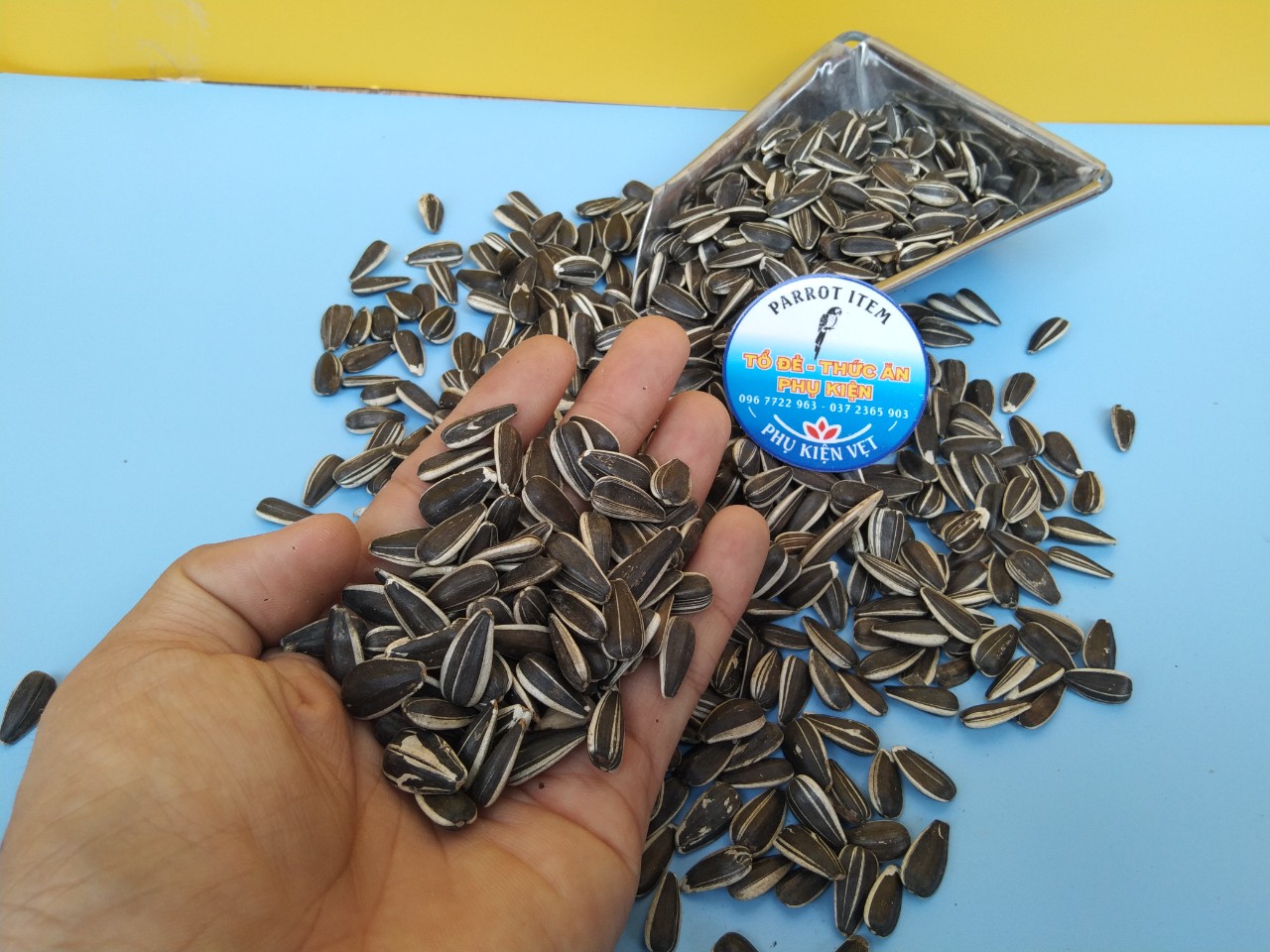 [HCM][GIÁ TỐT] 1KG HẠT HƯỚNG DƯƠNG LOẠI SỌC CHO TẤT CẢ DÒNG VẸT VÀ THÚ CƯNG