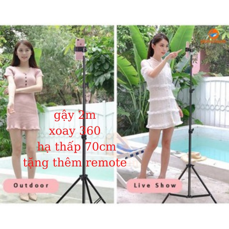 Gậy livestream, giá đỡ điện thoại ,gậy quay video tripod có giá đỡ điện thoại chân 2m có kẹp tặng remote chụp ảnh