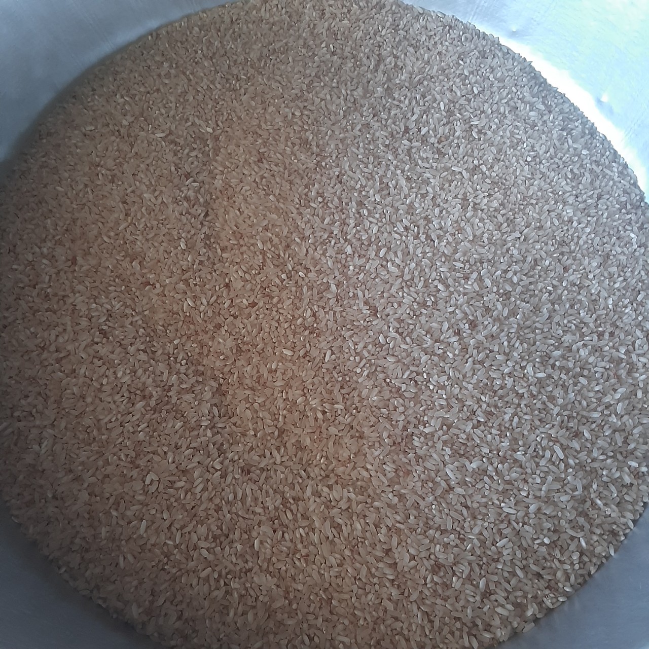 (2kg) Gạo lúa mùa một năm một vụ an toàn sức khỏe, gạo nấu cháo được cho bé